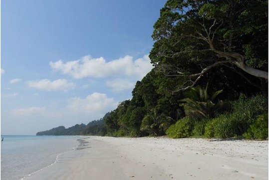 Tour image 8