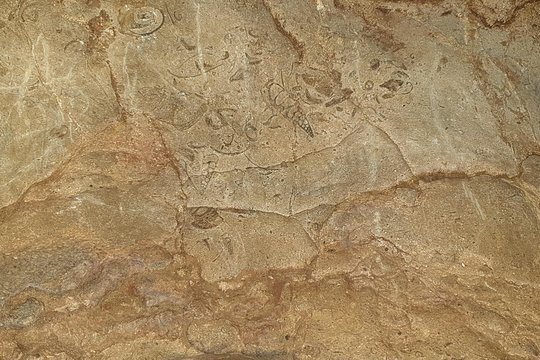 Tour image 10