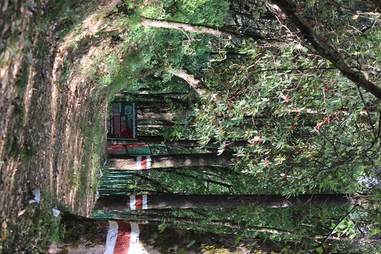 Tour image 7