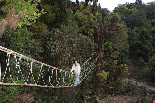 Tour image 7