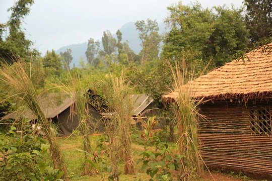 Tour image 12