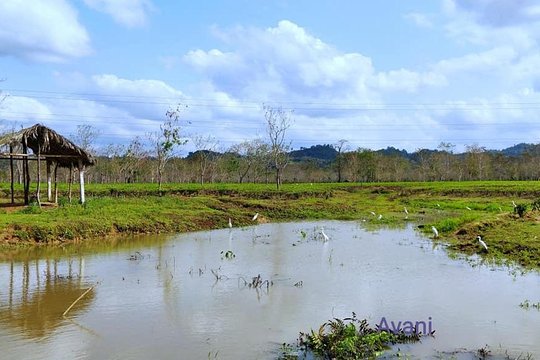 Tour image 4