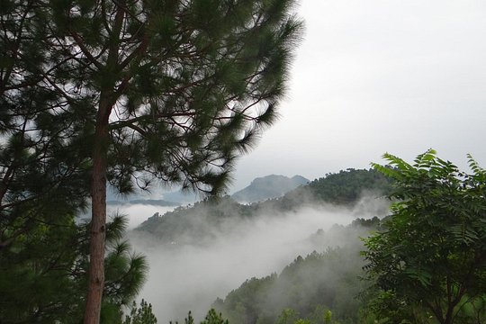 Tour image 4