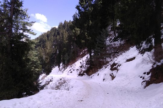 Tour image 11