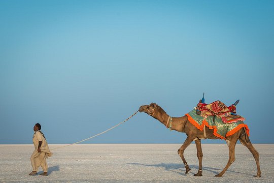 Tour image 4