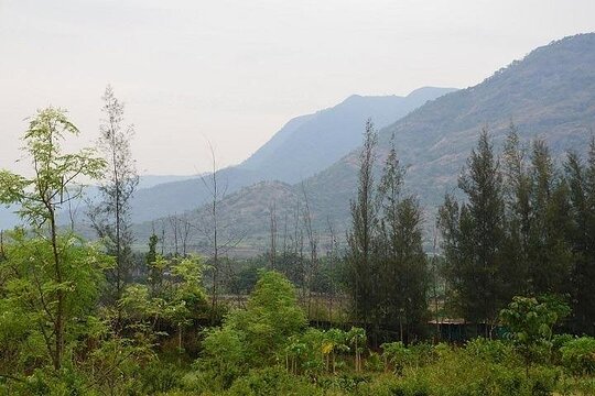 Tour image 7