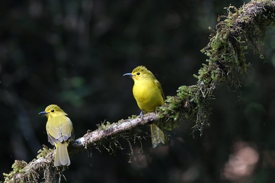 Tour image 1