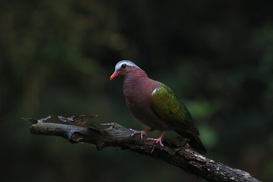 Tour image 3