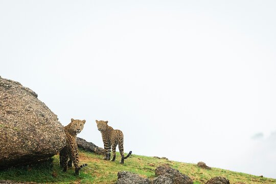 Tour image 2